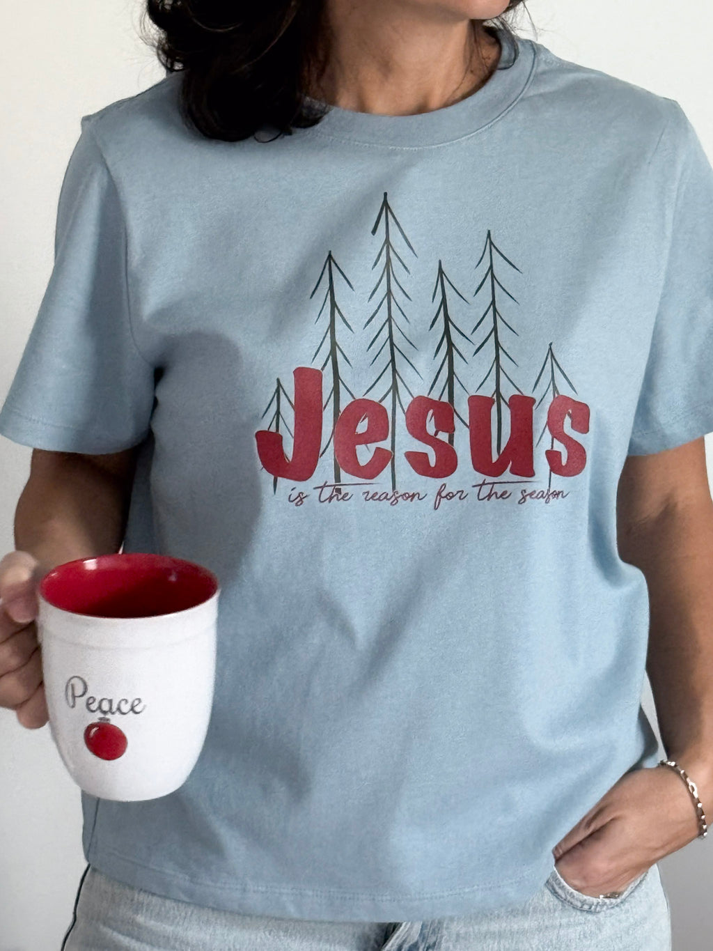 Jesus is the reason short Sleeve T-shirt